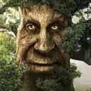 wisemythicaltree wisemythicaltree