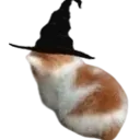 AngyW