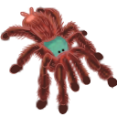 caribenaversicolor2 Discord emoji