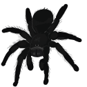 for_personal_reasons_i_will_only Discord emoji