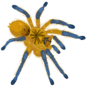 prettybutalsoabastard Discord emoji