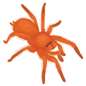 theorangeone Discord emoji