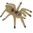 desaturatedbecauseimlazy Discord emoji