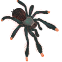 socks Discord emoji