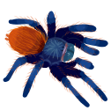 gbbb Discord emoji
