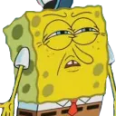 1201spongewhat