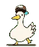 duckdance