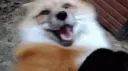 WAAAAA