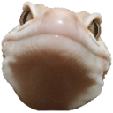 empty_smile Discord emoji