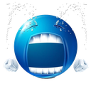 echat_blueCry Discord emoji