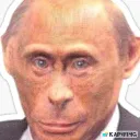 monkeyputin