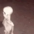 minust1Dead