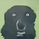 bruhwtf
