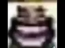 hehehehaw