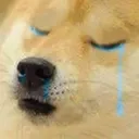 dogesad