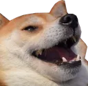 doge Discord Emoji