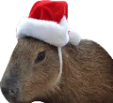 Christmasbara