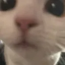 hiiiii