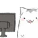 cuyicomputer