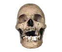 dead2