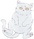 d_kit2 d_kit2