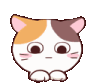 13sweet_cat_weally Discord Emoji