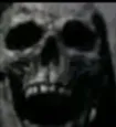 skull skull