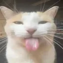 blehhhh