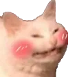 Uw Ucat UwUCat Discord Emoji