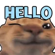 HELLOO