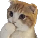 cat_think