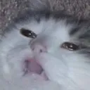UglyCry