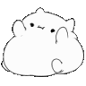 ChonkoCat