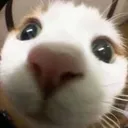 CIinteresting CIinteresting