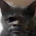 CIenglishmfcat CIenglishmfcat