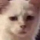 bro