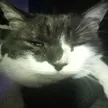 Tired_Hugo