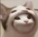 yep Discord emoji