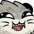 rooNya