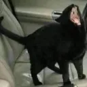 rRRRAAAAAAAUGH