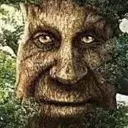 wise_tree