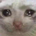 emotionalcat Discord Emoji