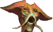 stellarispog