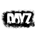 dayz
