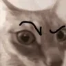 catsus