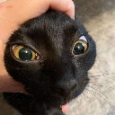 catgrab catgrab