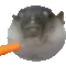 c_puffer