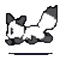 flowerfoxst
