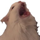 :AAAAAAA: