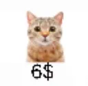 6_varos